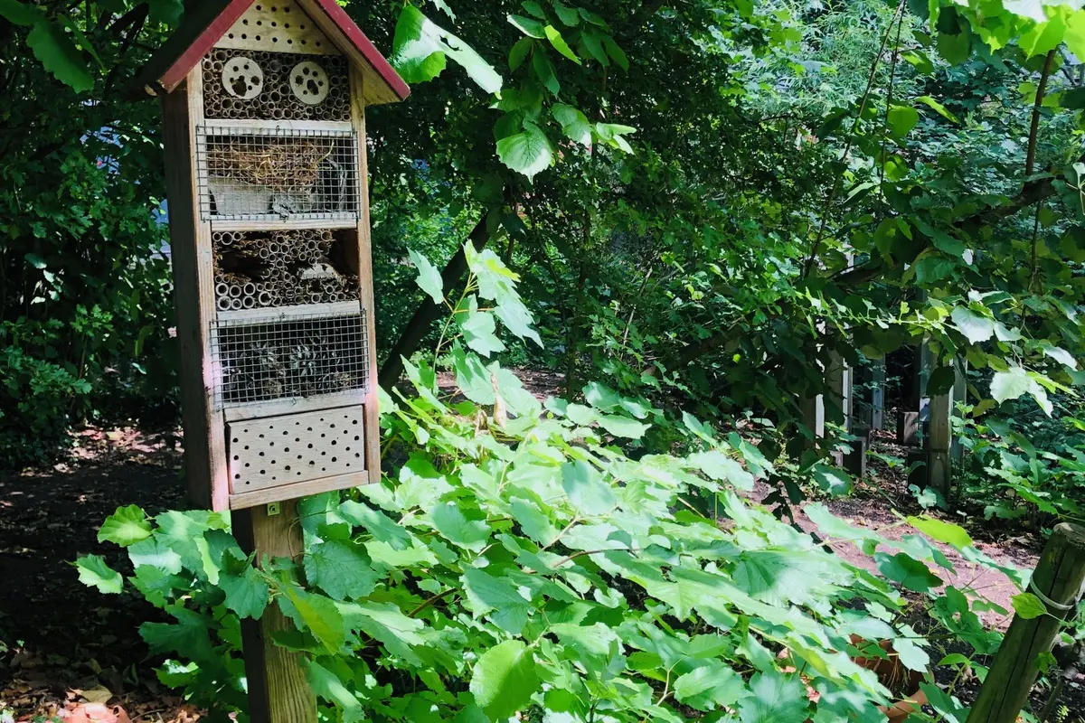 Holz-Insektenhotel auf Pfahl, umgeben von dichtem grünen Laub in schattigem Garten