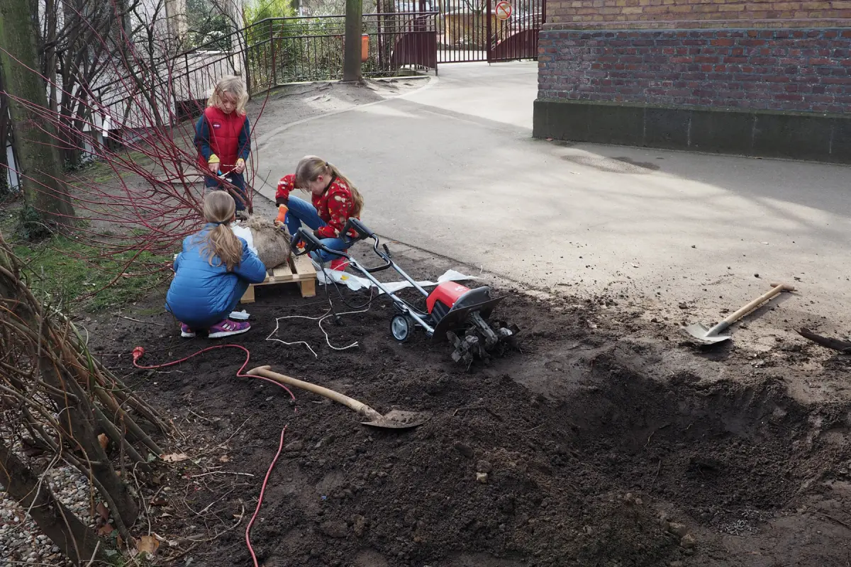 Drei Kinder arbeiten im Garten neben umgegrabener Erde, Schaufeln, Motorhacke und einem verpflanzten Strauch