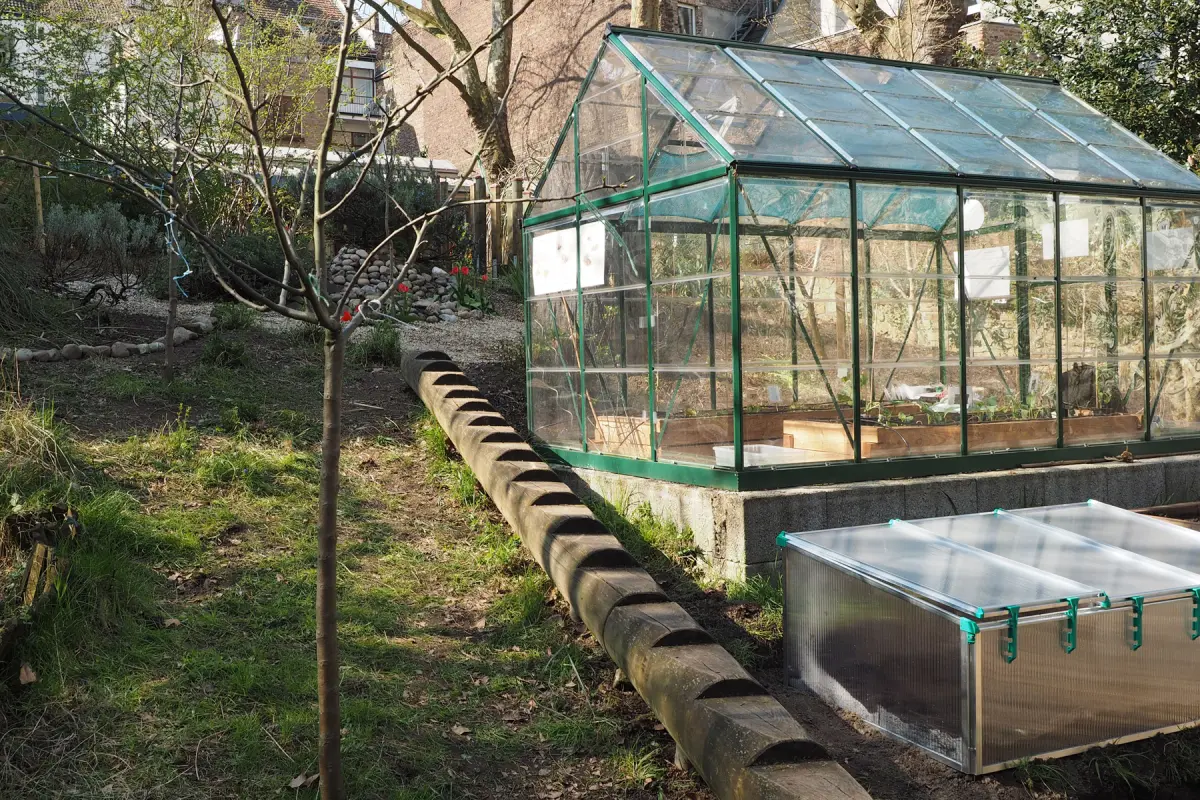 Garten mit Glasgewächshaus, kleinem Frühbeet, schlankem Baum und länglichem Holzstamm mit Einkerbungen