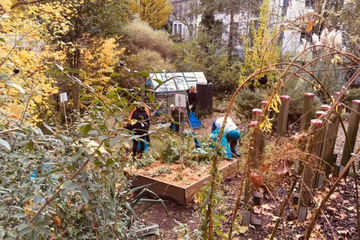 Mehrere Personen gärtnern in Hochbeeten eines herbstlichen Gemeinschaftsgartens mit kleinem Gewächshaus