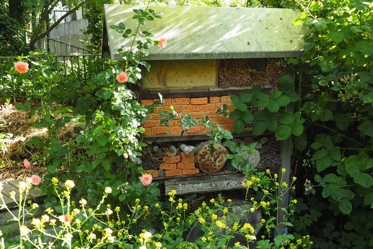 Wildbienenhotel aus Ziegeln und Holzscheiben in grünem Garten, umrankt von rosa Rosen und gelben Blüten