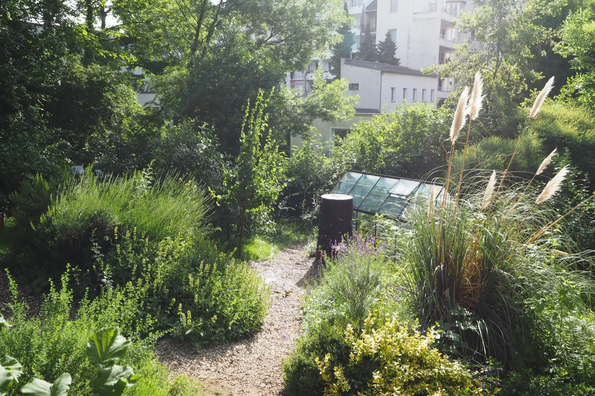 Sonniger Garten mit Kiesweg, kleinem Gewächshaus, Pampasgras und dichtem Strauchbewuchs, Wohnhäuser im Hintergrund